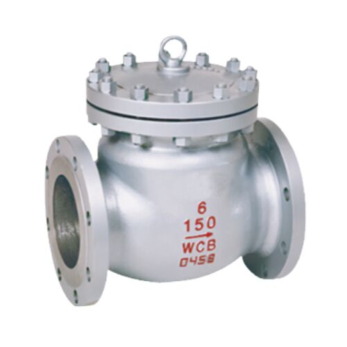 ansi marine swing check valve back ground
